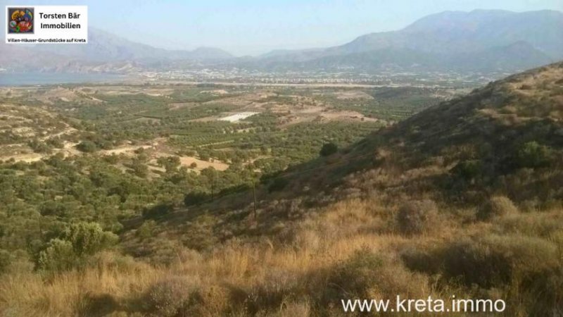 Kamilari Süd Kreta; Kamilari Grundstück mit Meerblick 10.000m² Grundstück kaufen